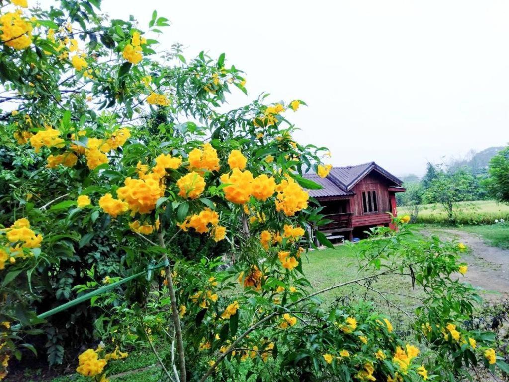 צ'יאנג מאי Nai Khun Khao Resort מראה חיצוני תמונה