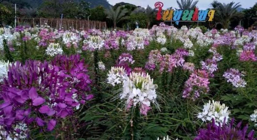 צ'יאנג מאי Nai Khun Khao Resort מראה חיצוני תמונה